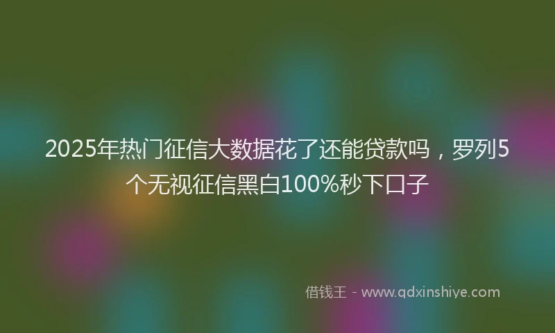 2025年热门征信大数据花了还能贷款吗，罗列5个无视征信黑白100%秒下口子