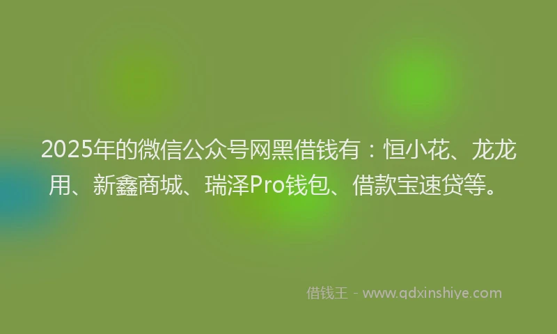 2025年的微信公众号网黑借钱有：恒小花、龙龙用、新鑫商城、瑞泽Pro钱包、借款宝速贷等。