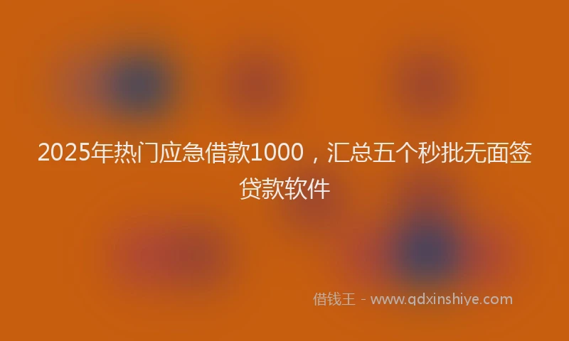 2025年热门应急借款1000，汇总五个秒批无面签贷款软件