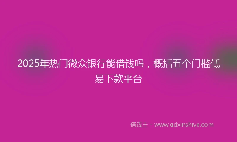 2025年热门微众银行能借钱吗，概括五个门槛低易下款平台