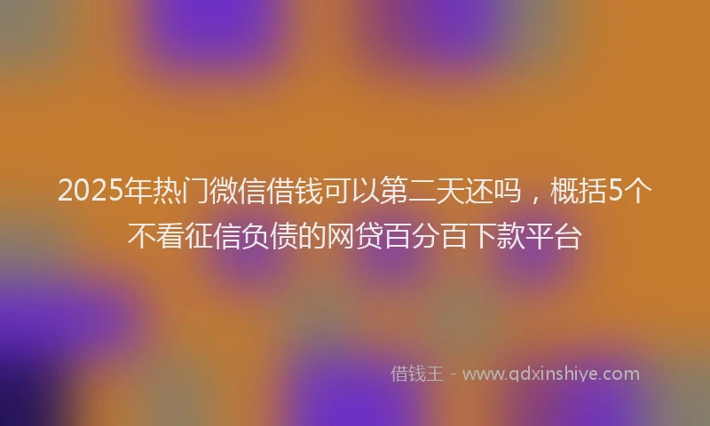 2025年热门微信借钱可以第二天还吗，概括5个不看征信负债的网贷百分百下款平台
