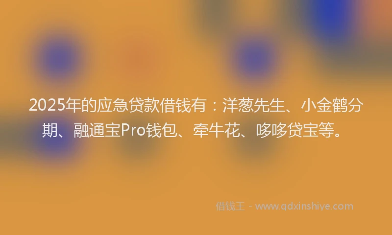2025年的应急贷款借钱有：洋葱先生、小金鹤分期、融通宝Pro钱包、牵牛花、哆哆贷宝等。