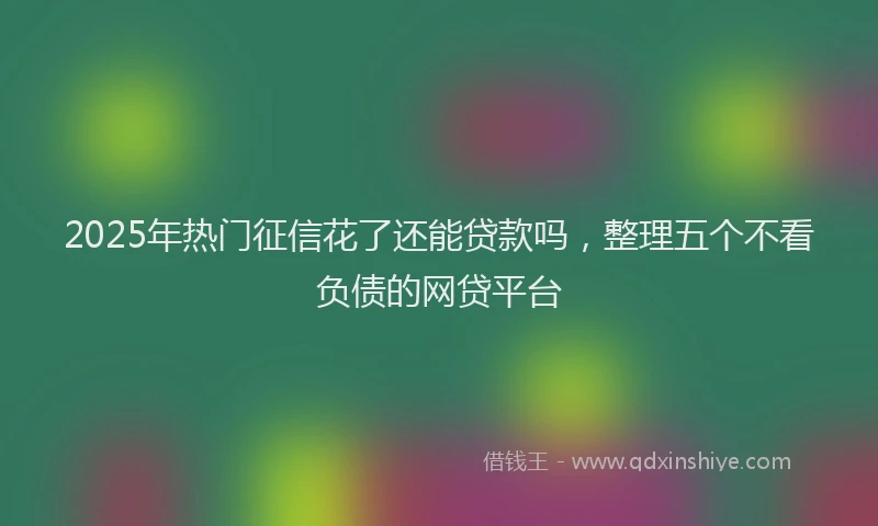 2025年热门征信花了还能贷款吗，整理五个不看负债的网贷平台