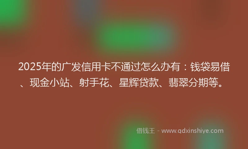2025年的广发信用卡不通过怎么办有：钱袋易借、现金小站、射手花、星辉贷款、翡翠分期等。