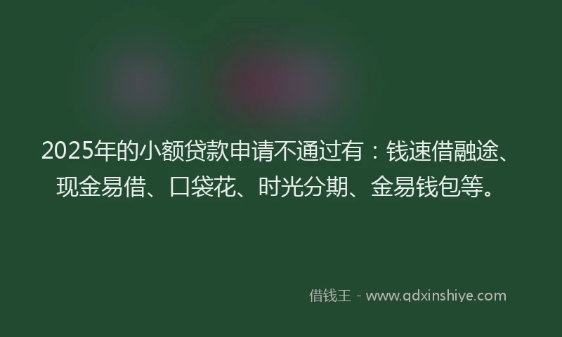 2025年的小额贷款申请不通过有：钱速借融途、现金易借、口袋花、时光分期、金易钱包等。