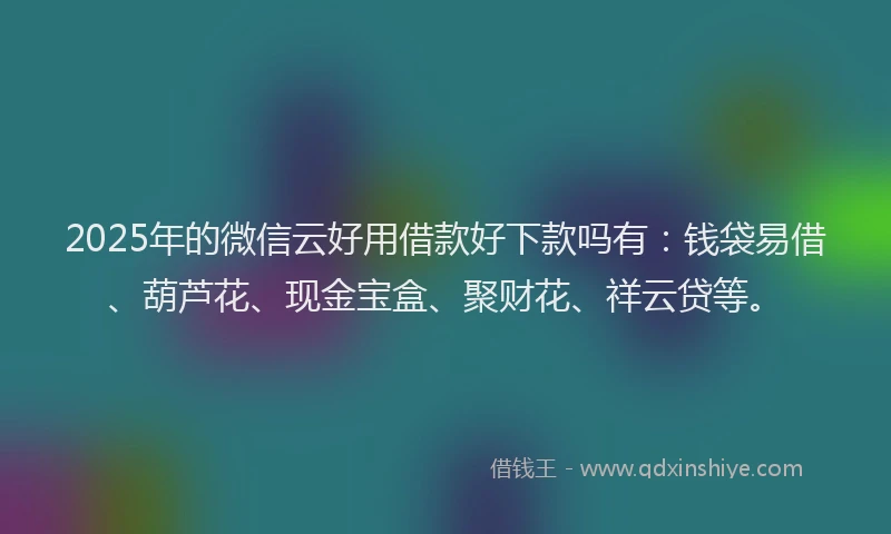 2025年的微信云好用借款好下款吗有：钱袋易借、葫芦花、现金宝盒、聚财花、祥云贷等。