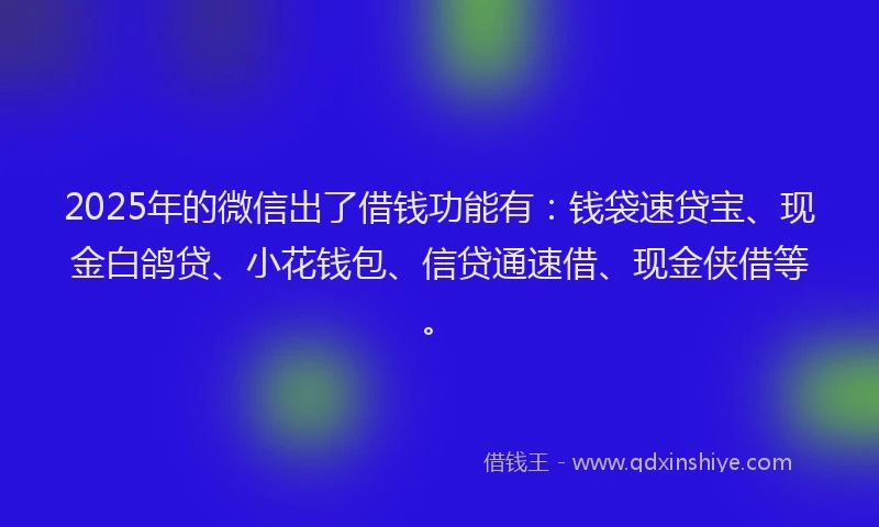 2025年的微信出了借钱功能有：钱袋速贷宝、现金白鸽贷、小花钱包、信贷通速借、现金侠借等。