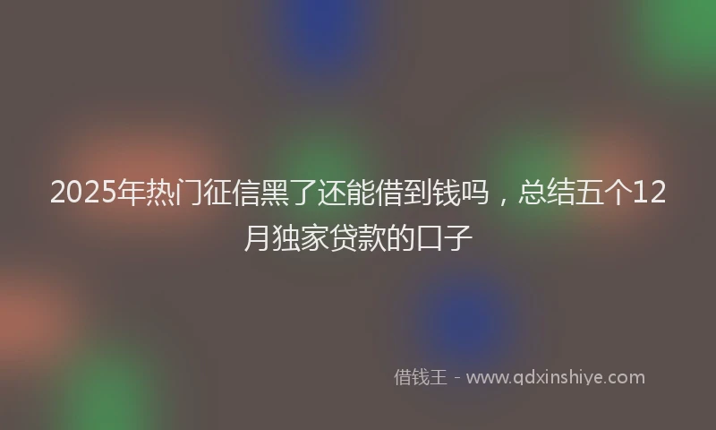 2025年热门征信黑了还能借到钱吗，总结五个12月独家贷款的口子
