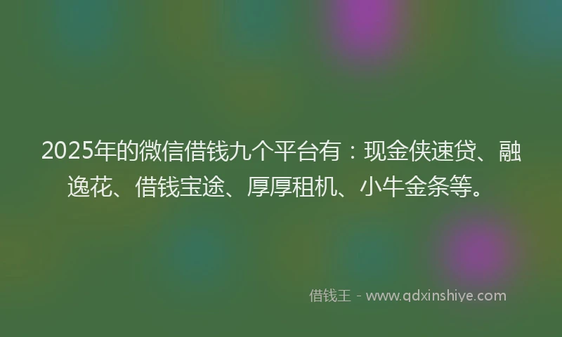 2025年的微信借钱九个平台有：现金侠速贷、融逸花、借钱宝途、厚厚租机、小牛金条等。