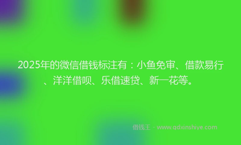 2025年的微信借钱标注有：小鱼免审、借款易行、洋洋借呗、乐借速贷、新一花等。