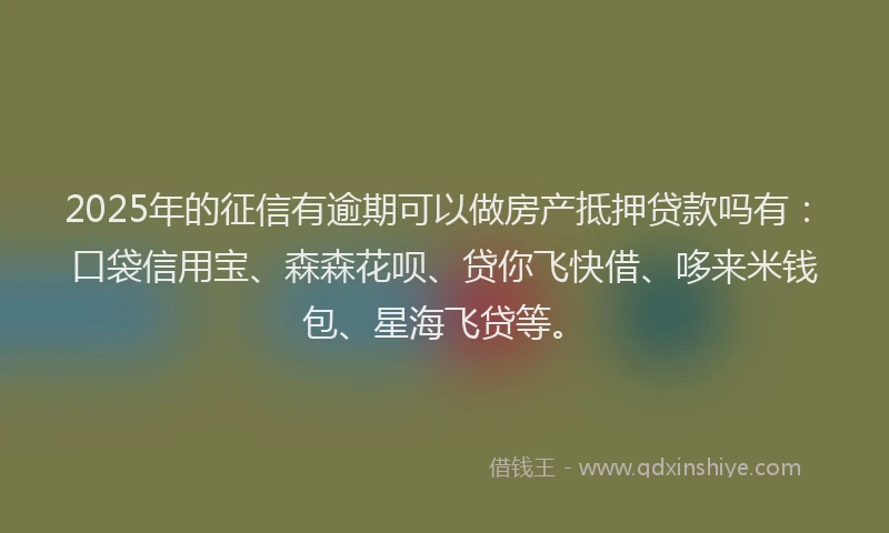 2025年的征信有逾期可以做房产抵押贷款吗有：口袋信用宝、森森花呗、贷你飞快借、哆来米钱包、星海飞贷等。