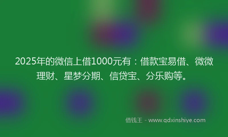2025年的微信上借1000元有：借款宝易借、微微理财、星梦分期、信贷宝、分乐购等。