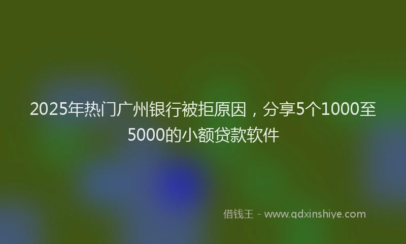 2025年热门广州银行被拒原因，分享5个1000至5000的小额贷款软件