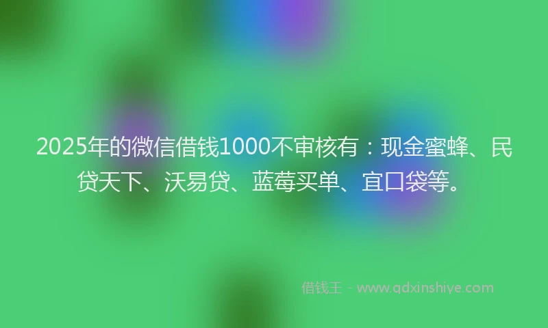 2025年的微信借钱1000不审核有:现金蜜蜂、民贷天下、沃易贷、蓝莓买单、宜口袋等。