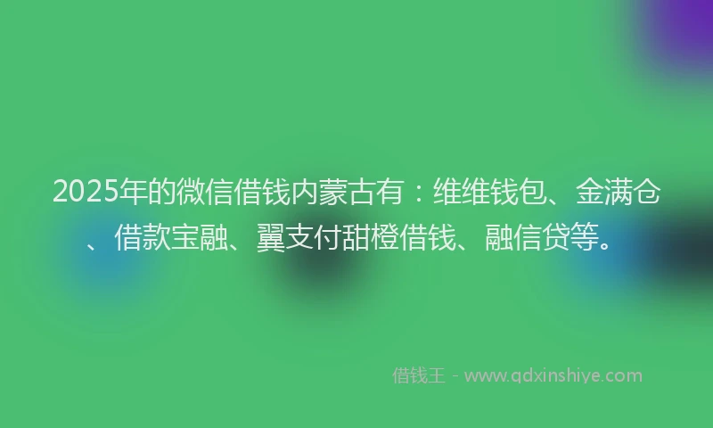 2025年的微信借钱内蒙古有：维维钱包、金满仓、借款宝融、翼支付甜橙借钱、融信贷等。