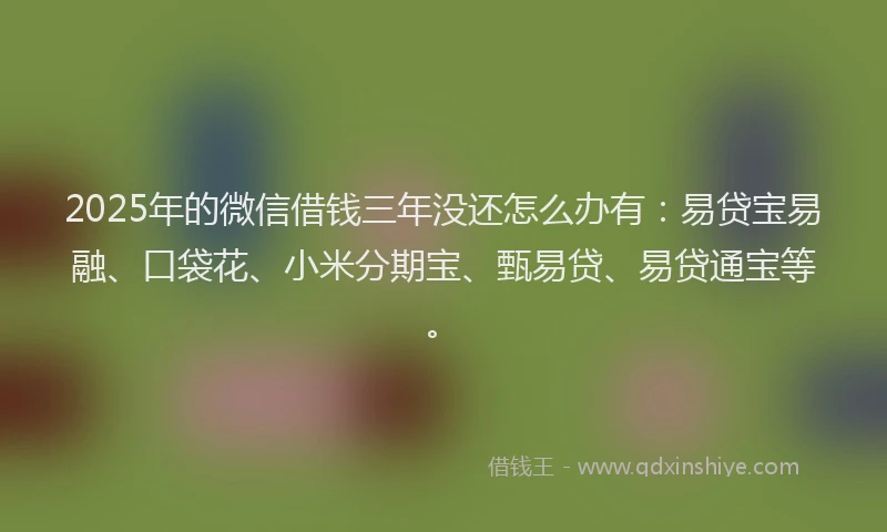 2025年的微信借钱三年没还怎么办有：易贷宝易融、口袋花、小米分期宝、甄易贷、易贷通宝等。