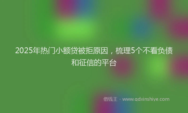 2025年热门小额贷被拒原因，梳理5个不看负债和征信的平台