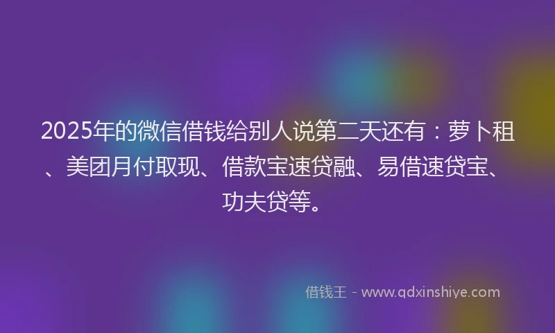 2025年的微信借钱给别人说第二天还有：萝卜租、美团月付取现、借款宝速贷融、易借速贷宝、功夫贷等。