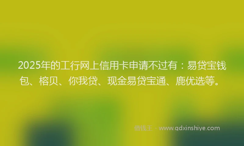 2025年的工行网上信用卡申请不过有：易贷宝钱包、榕贝、你我贷、现金易贷宝通、鹿优选等。