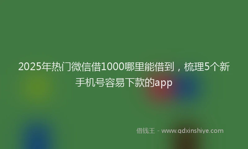 2025年热门微信借1000哪里能借到，梳理5个新手机号容易下款的app