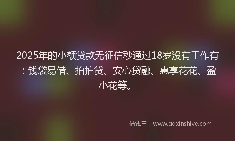 2025年的小额贷款无征信秒通过18岁没有工作有：钱袋易借、拍拍贷、安心贷融、惠享花花、盈小花等。