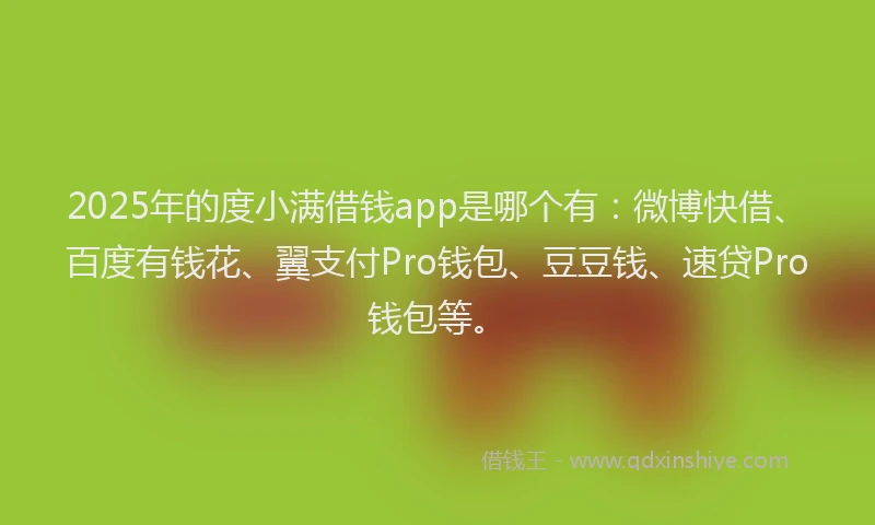 2025年的度小满借钱app是哪个有：微博快借、百度有钱花、翼支付Pro钱包、豆豆钱、速贷Pro钱包等。