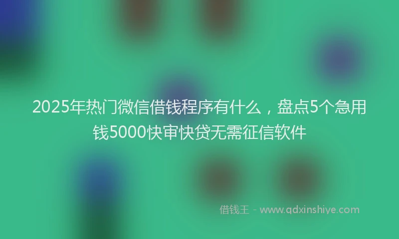 2025年热门微信借钱程序有什么，盘点5个急用钱5000快审快贷无需征信软件