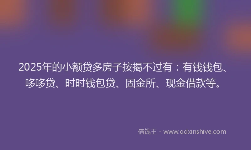 2025年的小额贷多房子按揭不过有：有钱钱包、哆哆贷、时时钱包贷、固金所、现金借款等。