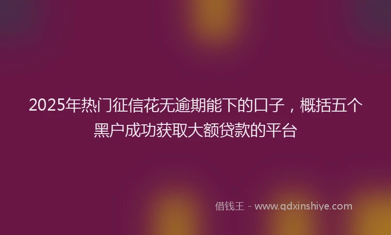 2025年热门征信花无逾期能下的口子，概括五个黑户成功获取大额贷款的平台