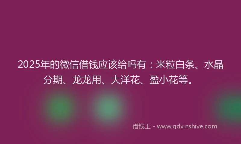 2025年的微信借钱应该给吗有：米粒白条、水晶分期、龙龙用、大洋花、盈小花等。
