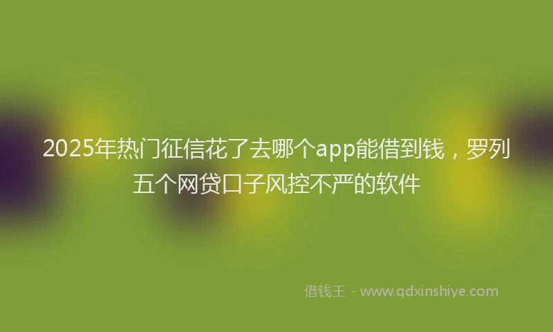 2025年热门征信花了去哪个app能借到钱，罗列五个网贷口子风控不严的软件