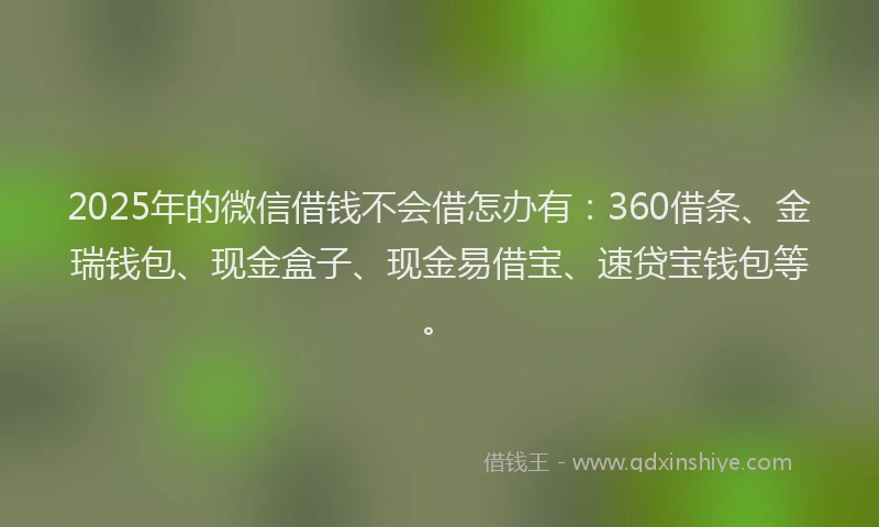 2025年的微信借钱不会借怎办有:360借条、金瑞钱包、现金盒子、现金易借宝、速贷宝钱包等。
