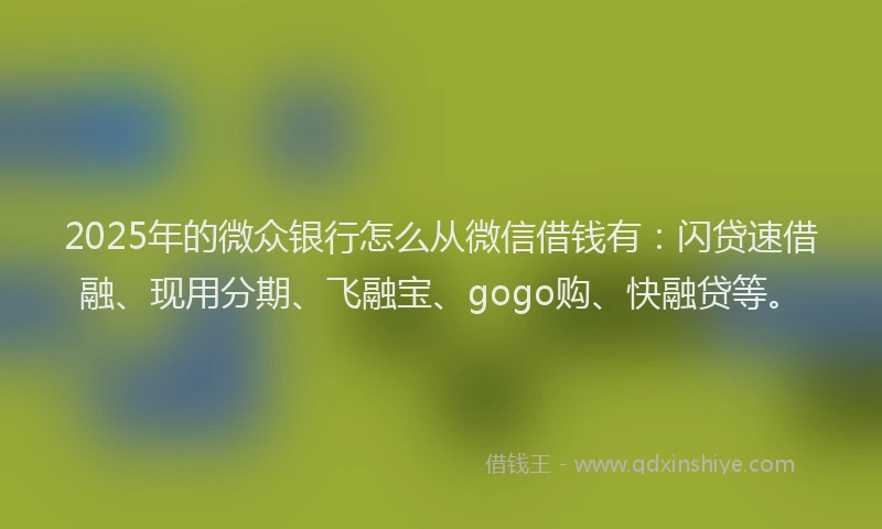 2025年的微众银行怎么从微信借钱有：闪贷速借融、现用分期、飞融宝、gogo购、快融贷等。