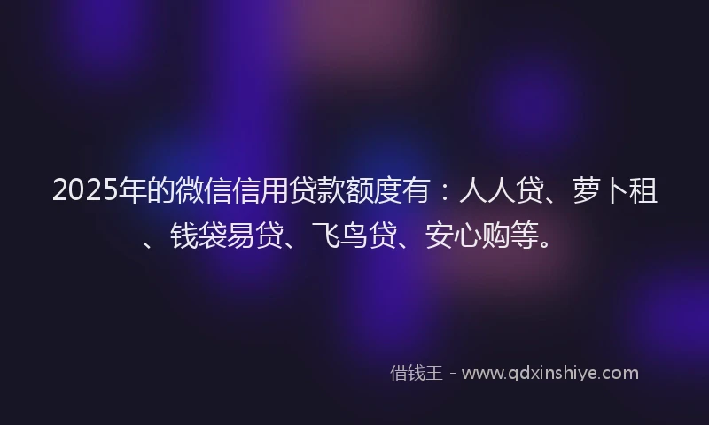 2025年的微信信用贷款额度有：人人贷、萝卜租、钱袋易贷、飞鸟贷、安心购等。