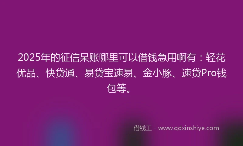2025年的征信呆账哪里可以借钱急用啊有：轻花优品、快贷通、易贷宝速易、金小豚、速贷Pro钱包等。