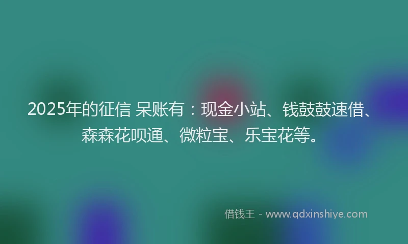 2025年的征信 呆账有：现金小站、钱鼓鼓速借、森森花呗通、微粒宝、乐宝花等。