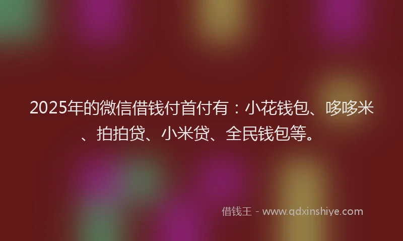 2025年的微信借钱付首付有：小花钱包、哆哆米、拍拍贷、小米贷、全民钱包等。