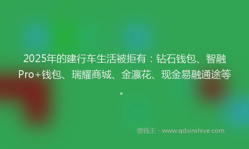 2025年的建行车生活被拒有：钻石钱包、智融Pro+钱包、瑞耀商城、金瀛花、现金易融通途等。