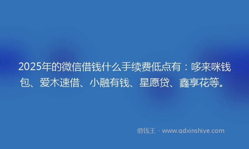 2025年的微信借钱什么手续费低点有：哆来咪钱包、爱木速借、小融有钱、星愿贷、鑫享花等。