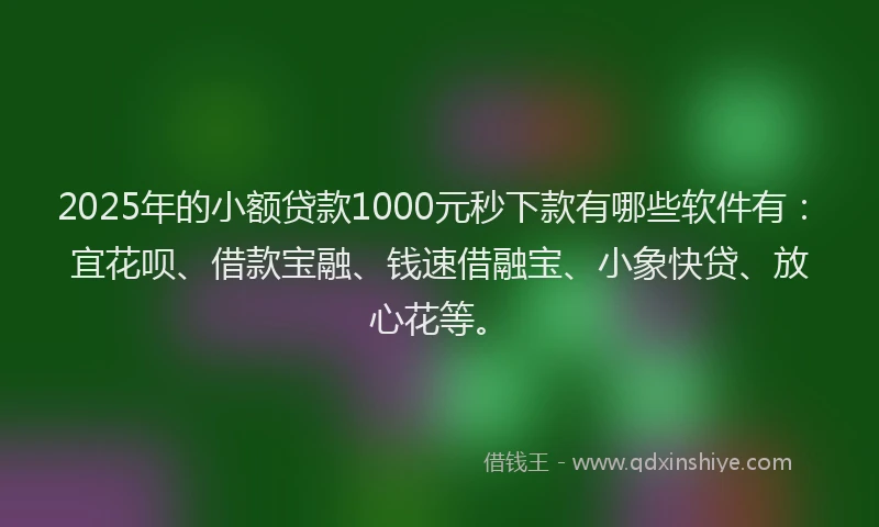 2025年的小额贷款1000元秒下款有哪些软件有：宜花呗、借款宝融、钱速借融宝、小象快贷、放心花等。