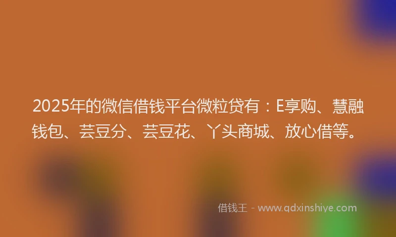 2025年的微信借钱平台微粒贷有：E享购、慧融钱包、芸豆分、芸豆花、丫头商城、放心借等。
