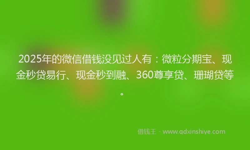 2025年的微信借钱没见过人有：微粒分期宝、现金秒贷易行、现金秒到融、360尊享贷、珊瑚贷等。