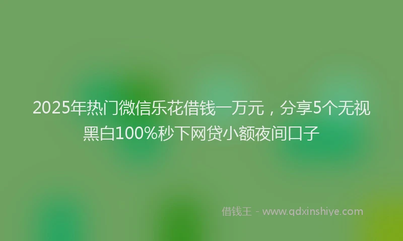 2025年热门微信乐花借钱一万元，分享5个无视黑白100%秒下网贷小额夜间口子