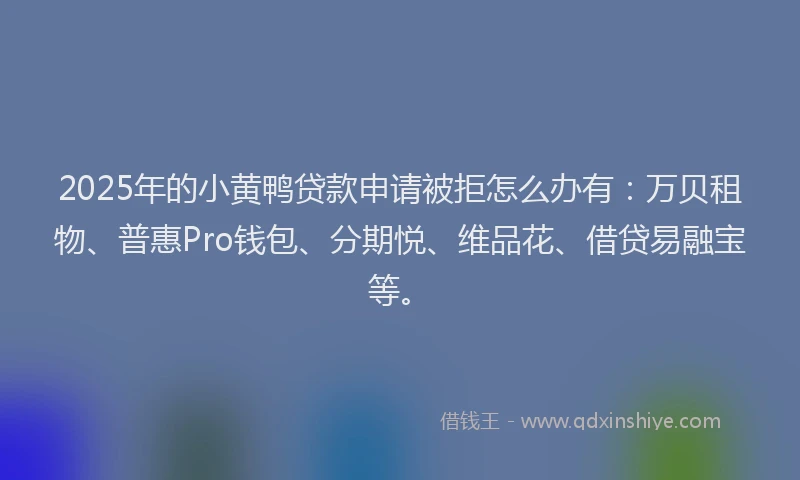2025年的小黄鸭贷款申请被拒怎么办有：万贝租物、普惠Pro钱包、分期悦、维品花、借贷易融宝等。