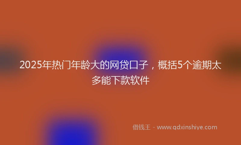 2025年热门年龄大的网贷口子，概括5个逾期太多能下款软件