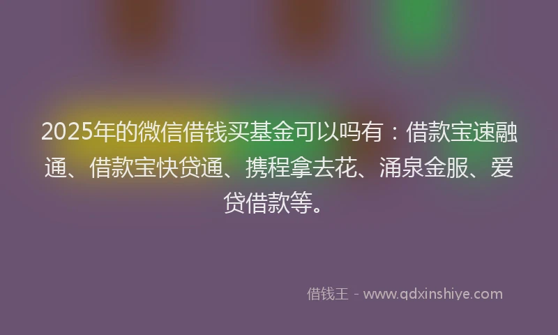 2025年的微信借钱买基金可以吗有：借款宝速融通、借款宝快贷通、携程拿去花、涌泉金服、爱贷借款等。