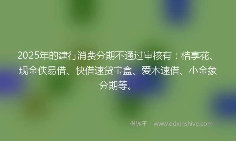 2025年的建行消费分期不通过审核有：桔享花、现金侠易借、快借速贷宝盒、爱木速借、小金象分期等。