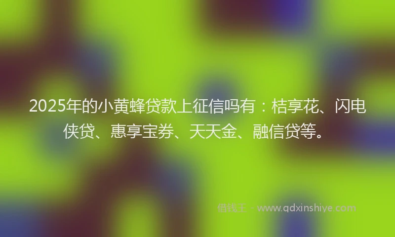 2025年的小黄蜂贷款上征信吗有：桔享花、闪电侠贷、惠享宝券、天天金、融信贷等。