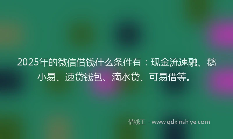 2025年的微信借钱什么条件有：现金流速融、鹅小易、速贷钱包、滴水贷、可易借等。
