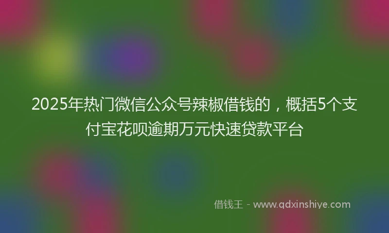 2025年热门微信公众号辣椒借钱的，概括5个支付宝花呗逾期万元快速贷款平台